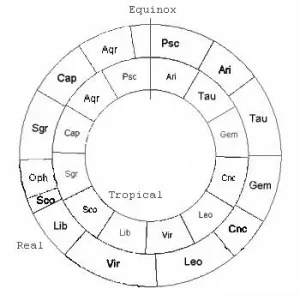 Real-Tropical Wheel.webp