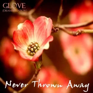 album cover33.webp