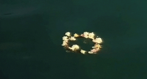 6CD86E47-AB2B-450D-8430-5F740C714350.gif