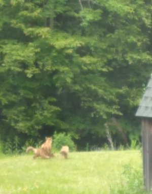 20220608_120223.jpg
