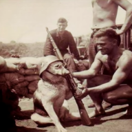 AussieLachlan