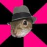 gOpHeR