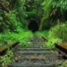 Verdant