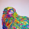 RavenSky