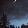 Moony