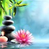 MindfulLotus888