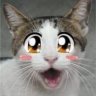 Animekitty