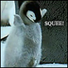 Pengy