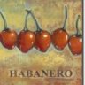 Habanero