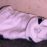 That One Lost Sock