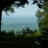 LostInTheForest