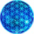 polybius