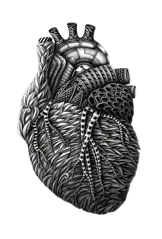 tumblr_mainwkUgoi1qa5045o1_1280.jpg