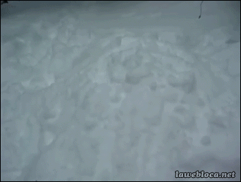tumblr_n1gox9Kl4A1s02vreo1_400.gif
