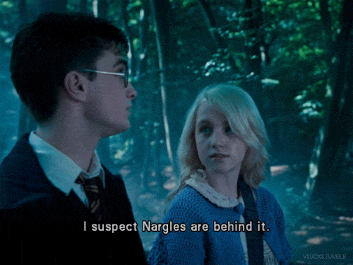 af303cce7e33680dfc5f50b81bea33302c0844bc_hq.gif