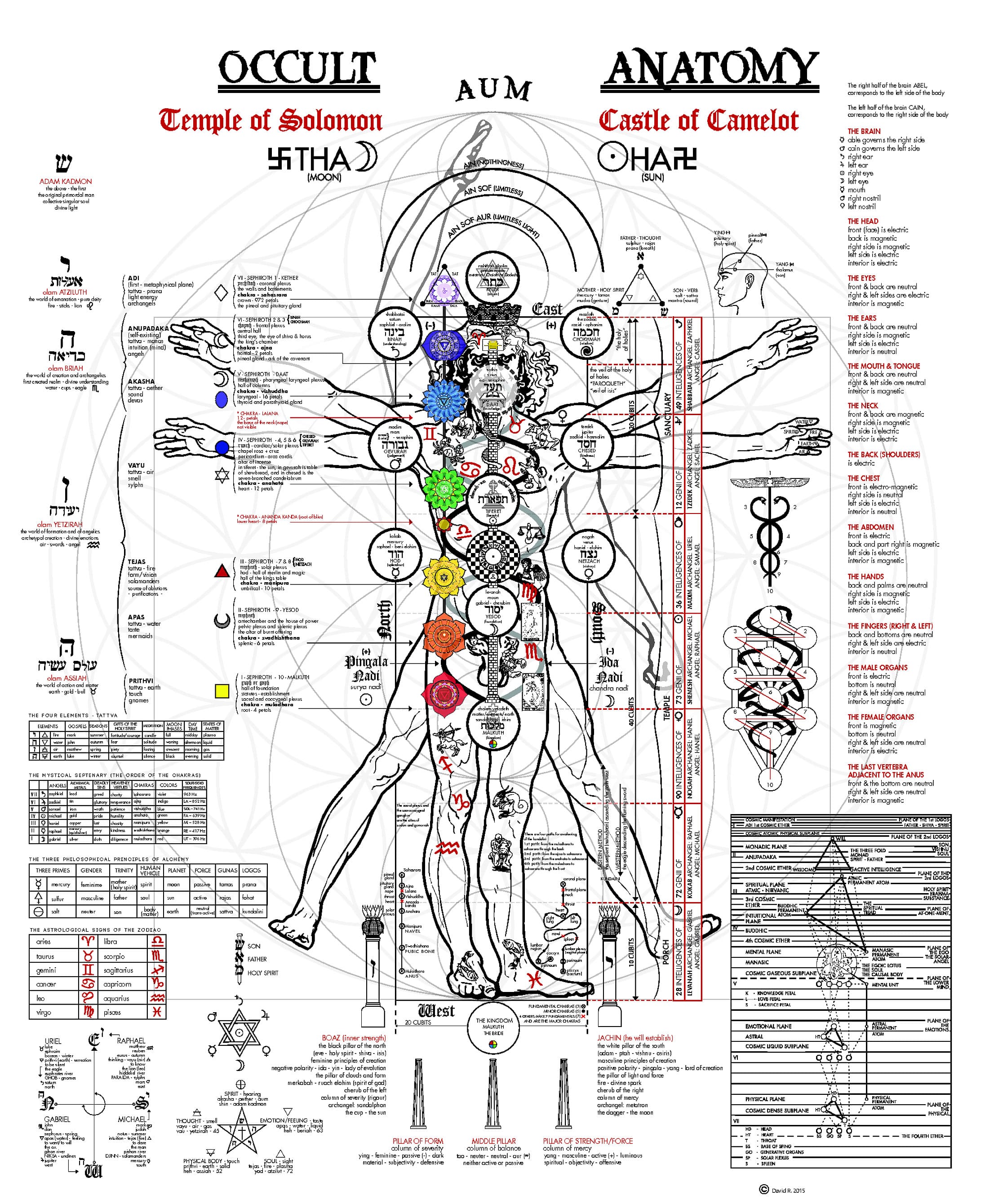 occult-anatomy-big.jpg