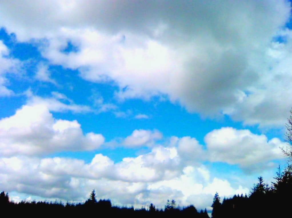 058-1.jpg