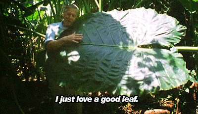 tumblr_mnax1yyh7x1qbudbro1_400.gif