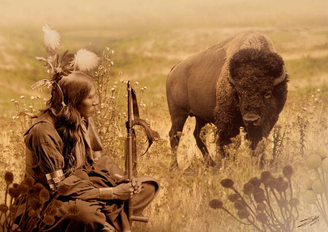 Native-American-Sioux-and-Bison_art.jpg
