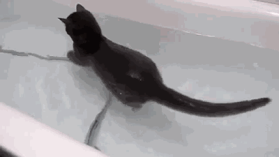 kJAMm21.gif