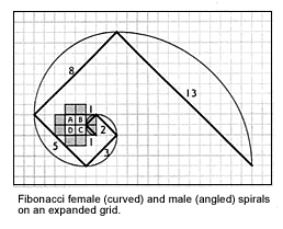 fibonacci1.gif