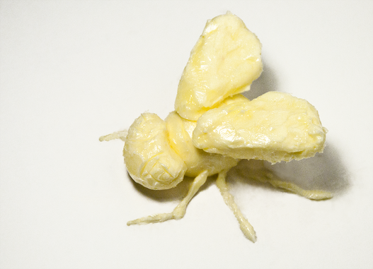 butter-fly3.png