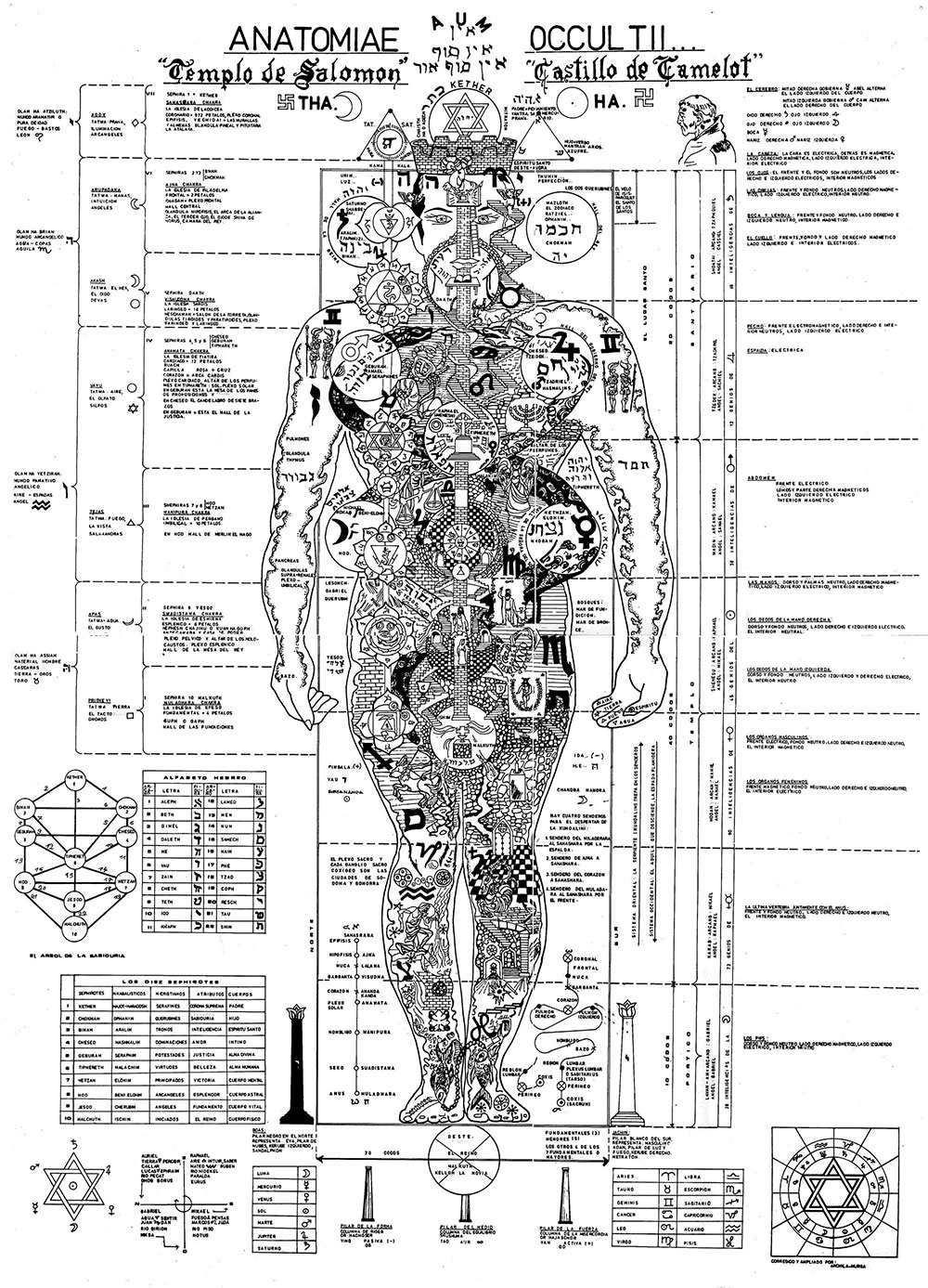 anatomiae-occultii.jpg