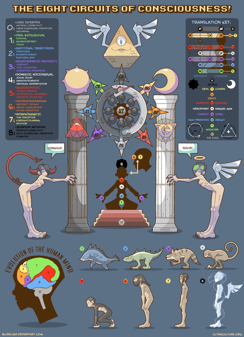 8-circuits-consciousness.jpg