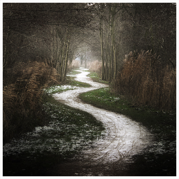 the_white_path_____by_mosredna.jpg