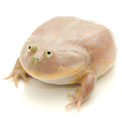 1zxvvy.jpg