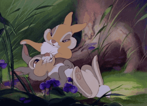 tumblr_ltd2acvSL31qm6oc3o1_500.gif