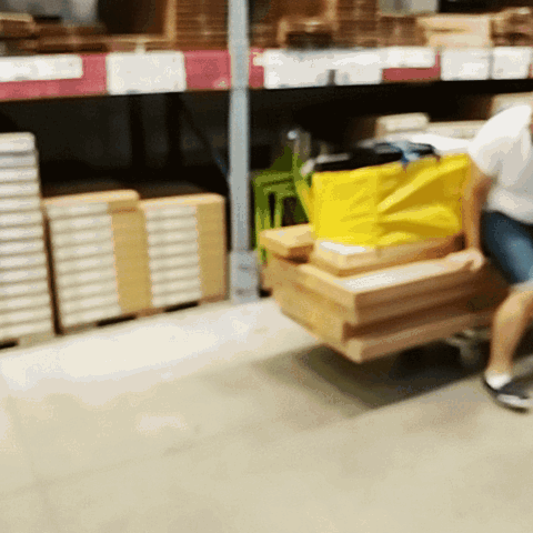 giphy.gif