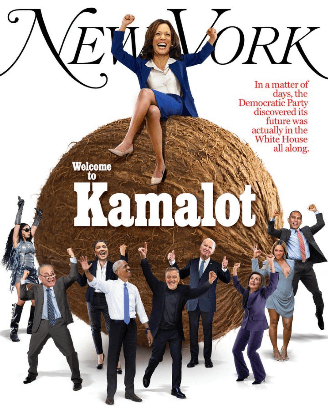 yes-this-actually-was-the-cover-of-new-york-magazine-this-v0-x1d64lb95qfd1.png