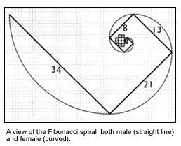 fibonacci2.gif