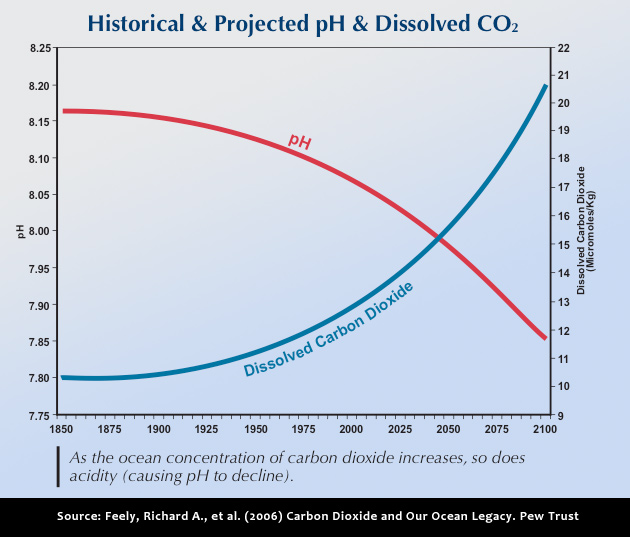 Acid_pH_graph.jpg