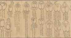 scroll-of-mudras-dp234313.jpg