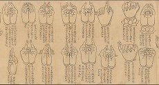 scroll-of-mudras-dp234315.jpg