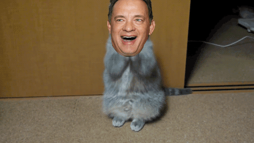 picgifs-tom-hanks-560965.gif