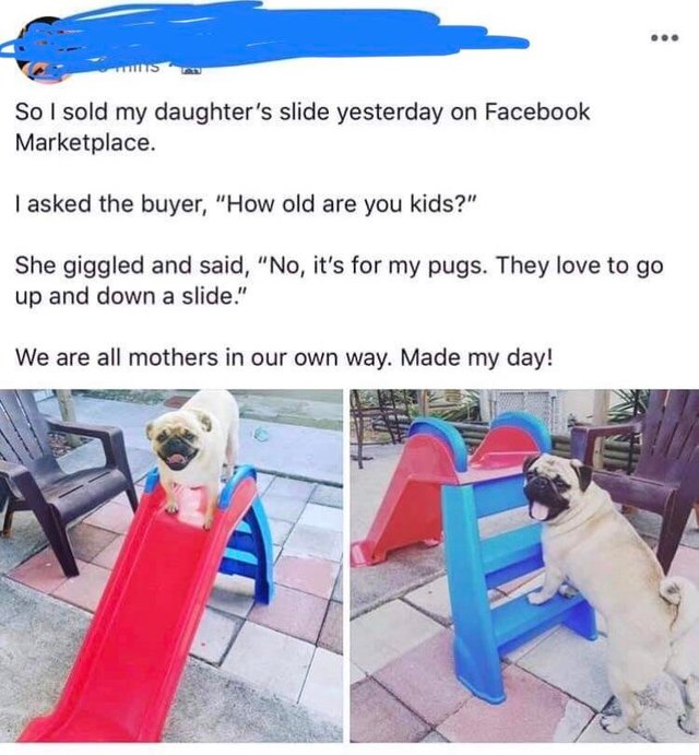 Wholesome_1.jpg