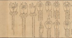 scroll-of-mudras-dp234316.jpg