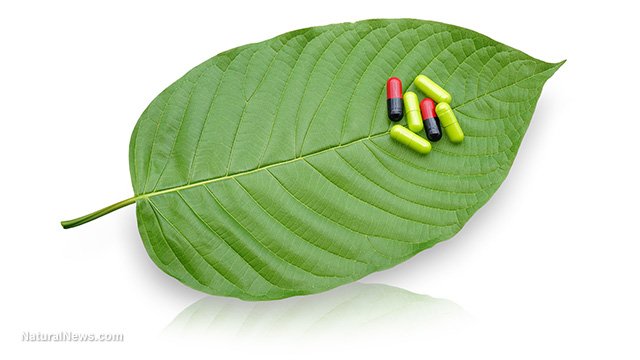 Kratom-Leaf-Supplements.jpg