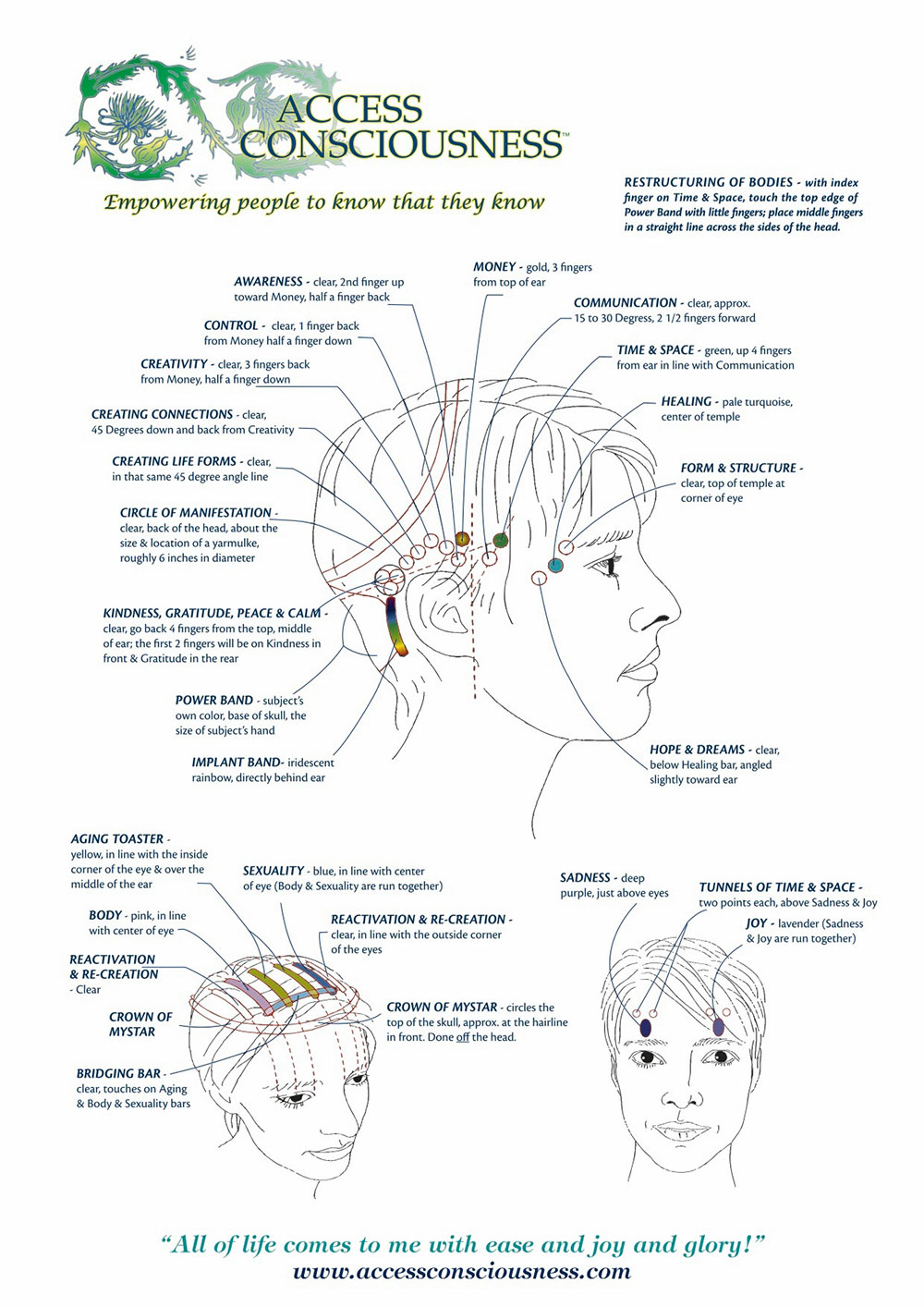 consciousscience33_01.jpg