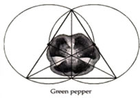 pepper.jpg