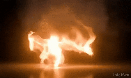 giphy.gif