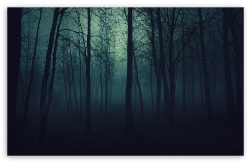 dark_forest-t2.jpg