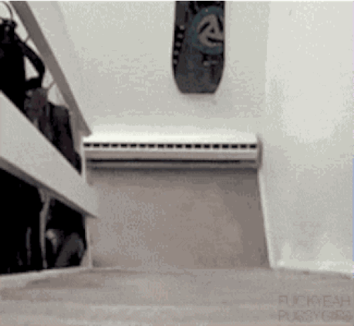 s-891f5feecd8c163063884021311b76290a1a99ff.gif